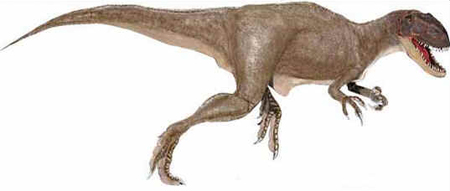 Afrovenator Afrovenator