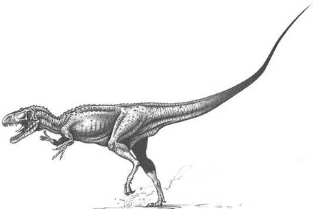 Afrovenator Afrovenator