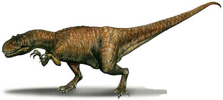 Afrovenator Afrovenator