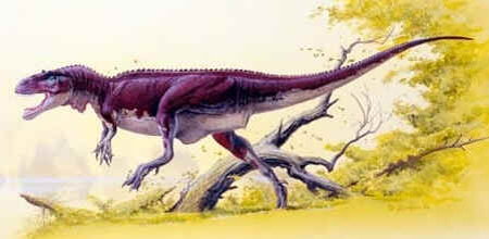 Afrovenator Afrovenator