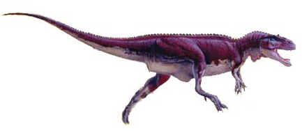 Afrovenator Afrovenator