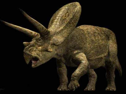 Alimentação dos Dinossauros