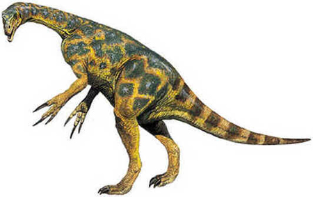 Alxassauro