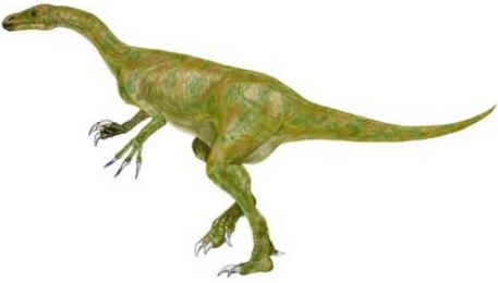 Alxassauro