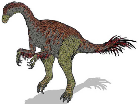 Alxassauro