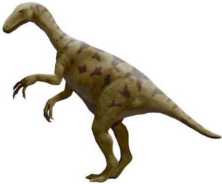 Alxassauro