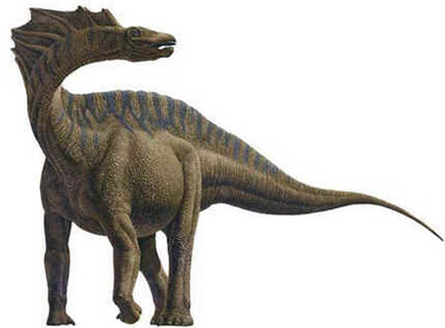 Amargassauro Amargassauro
