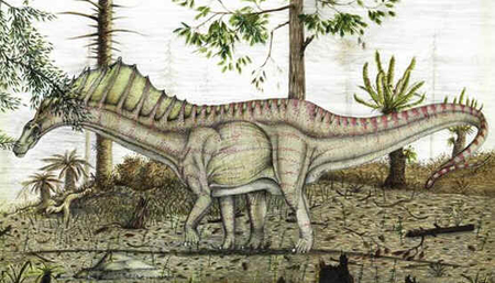 Amargassauro Amargassauro