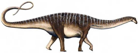 Amazonssauro Amazonssauro
