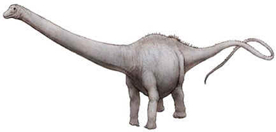 Amphicoelias Amphicoelias