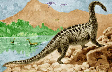 Amphicoelias Amphicoelias