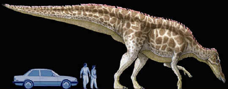 Anatossauro Anatossauro