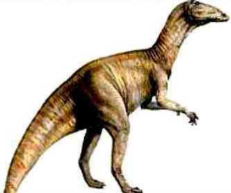 Anatossauro Anatossauro