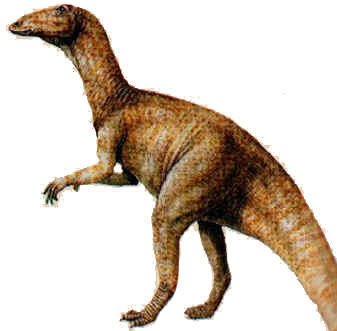 Anatossauro Anatossauro