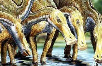 Anatotitan