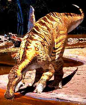 Anatotitan