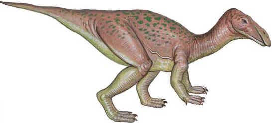 Anatotitan