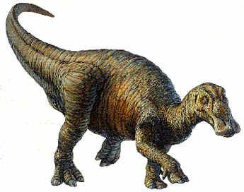 Anatotitan