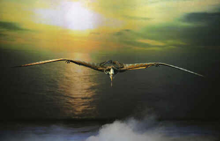 Anhanguera