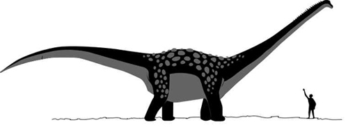 Antarctossauro Antarctossauro