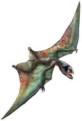 Anurognathus