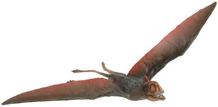 Anurognathus