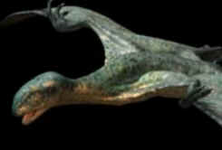 Anurognathus