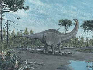 Apatossauro