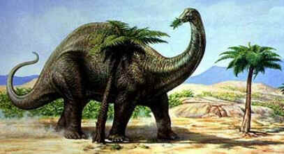 Apatossauro