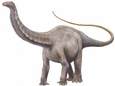 Apatossauro
