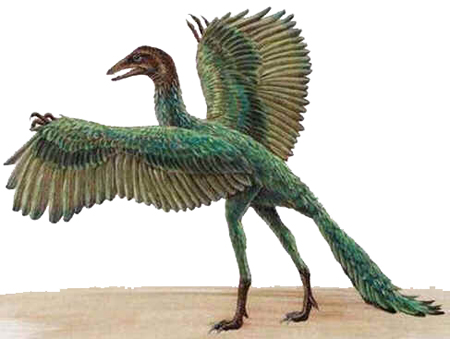 Archaeopteryx Archaeopteryx
