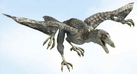 Archaeopteryx Archaeopteryx