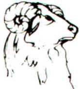 Áries