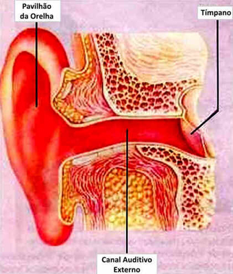 Audição