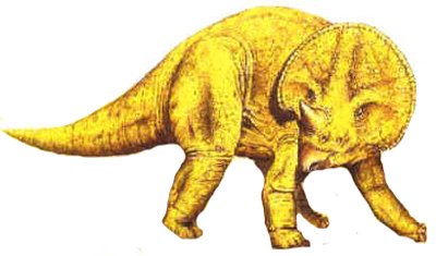 Avaceratops