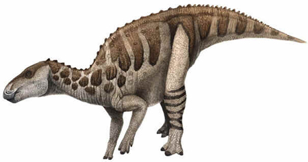 Bactrossauro Bactrossauro
