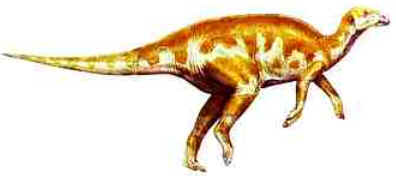 Bactrossauro Bactrossauro