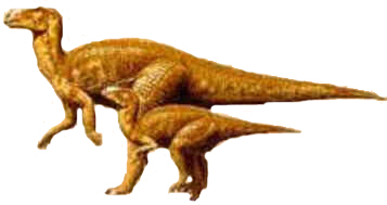 Bactrossauro Bactrossauro