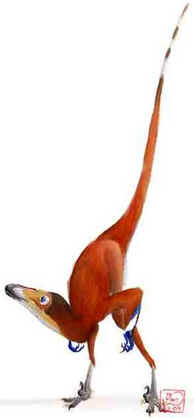 Bambiraptor