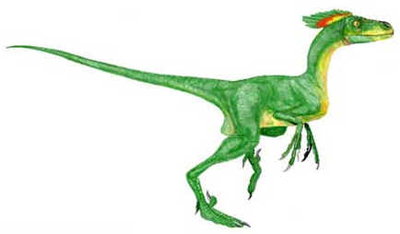 Bambiraptor