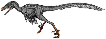 Bambiraptor
