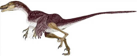 Bambiraptor