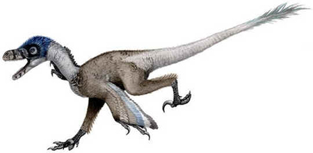 Bambiraptor