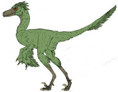 Bambiraptor