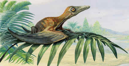 Batrachognatus