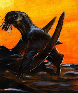 Batrachognatus