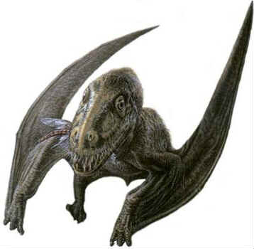 Batrachognatus