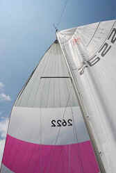 Barco a Vela