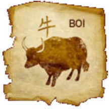 Boi (Niu) Boi (Niu)