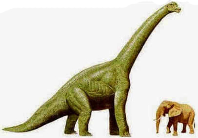 Braquiossauro